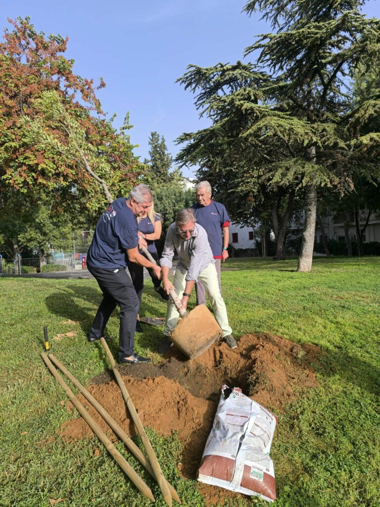 Νέες φυτεύσεις δέντρων στο Πάρκο Αποστολοπούλου στο Κάτω Χαλάνδρι 3 Νέες φυτεύσεις δέντρων στο Πάρκο Αποστολοπούλου στο Κάτω Χαλάνδρι