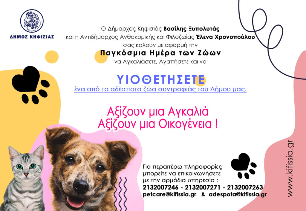 Παγκόσμια Ημέρα Ζώων: Υιοθετήστε ένα από τα αδέσποτα ζώα συντροφιάς του Δήμου μας