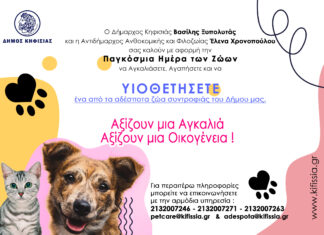 Παγκόσμια Ημέρα Ζώων: Υιοθετήστε ένα από τα αδέσποτα ζώα συντροφιάς του Δήμου μας