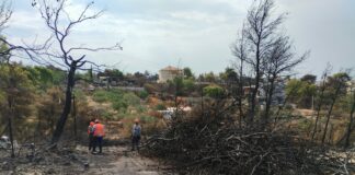 Πυρκαγιά Αυγούστου 2024 – Έως 18.12.24 οι αιτήσεις διενέργειας αυτοψίας στα πυρόπληκτα κτήρια