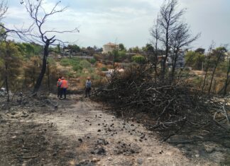 Πυρκαγιά Αυγούστου 2024 – Έως 18.12.24 οι αιτήσεις διενέργειας αυτοψίας στα πυρόπληκτα κτήρια