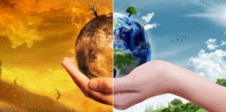 Σε κλιματικό καταφύγιο μετατρέπεται η αυλή του 4ου Δημοτικού σχολείου – Ένα ακόμα καινοτόμο, πιλοτικό πρόγραμμα από τον Δήμο Χαλανδρίου