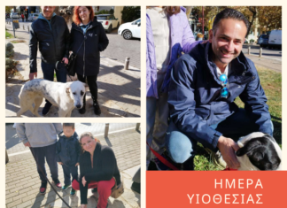 Ημέρα Υιοθεσίας Αδέσποτων στο Κρυονέρι