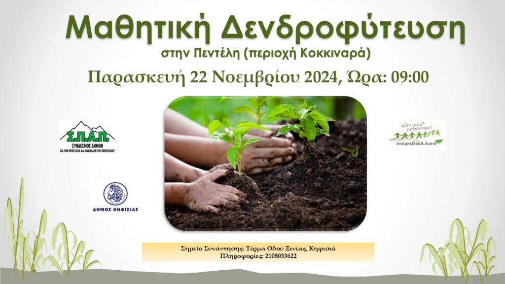 Μαθητική Δενδροφύτευση στην Πεντέλη