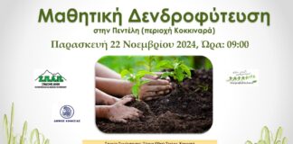 Μαθητική Δενδροφύτευση στην Πεντέλη
