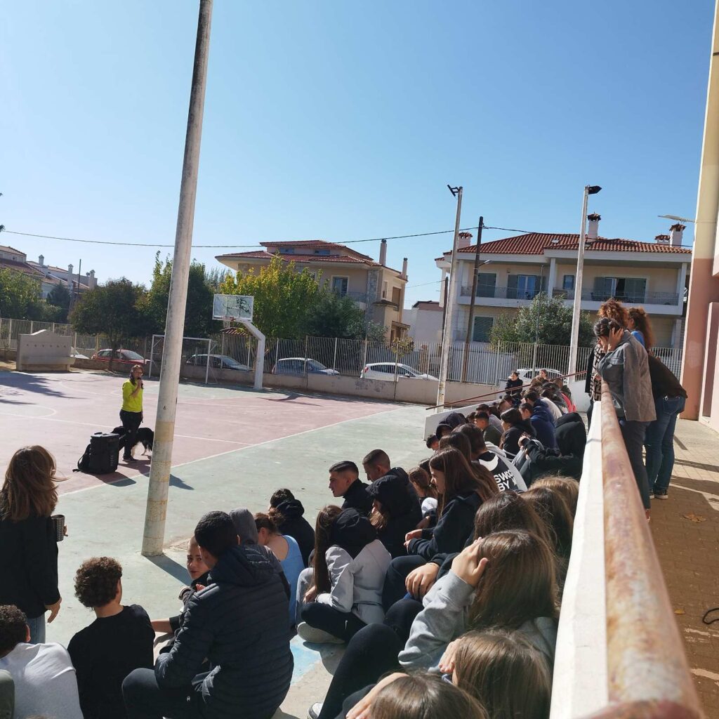 Ομιλία Φιλοζωικού περιεχομένου στο Γυμνάσιο Κρυονερίου 3 Ομιλία Φιλοζωικού περιεχομένου στο Γυμνάσιο Κρυονερίου