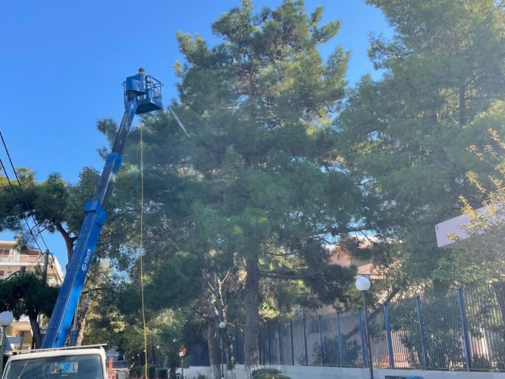 Παρεμβάσεις για τον περιορισμό του πληθυσμού της κάμπιας πραγματοποιεί ο Δήμος Ηρακλείου Αττικής 3 Παρεμβάσεις για τον περιορισμό του πληθυσμού της κάμπιας πραγματοποιεί ο Δήμος Ηρακλείου Αττικής