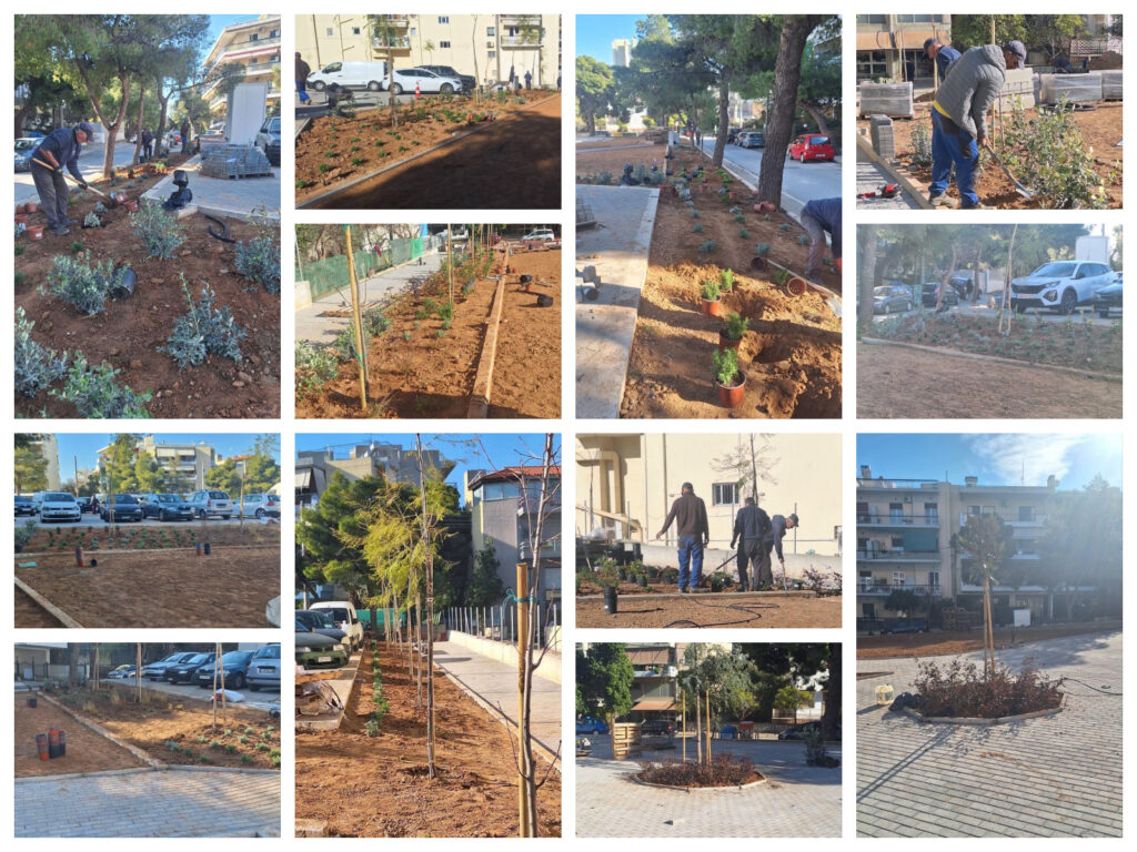 Η Κεντρική Πλατεία Πεύκης (πρώην οικόπεδο Πέρρου) ανθίζει!