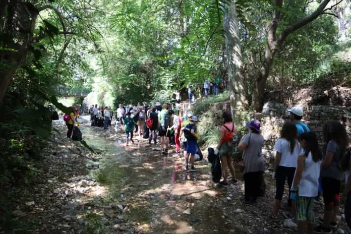 Παγκόσμια Ημέρα Εθελοντισμού – Ένα “ευχαριστώ” στους εθελοντές του Χαλανδρίου_6751fdd27e456.webp