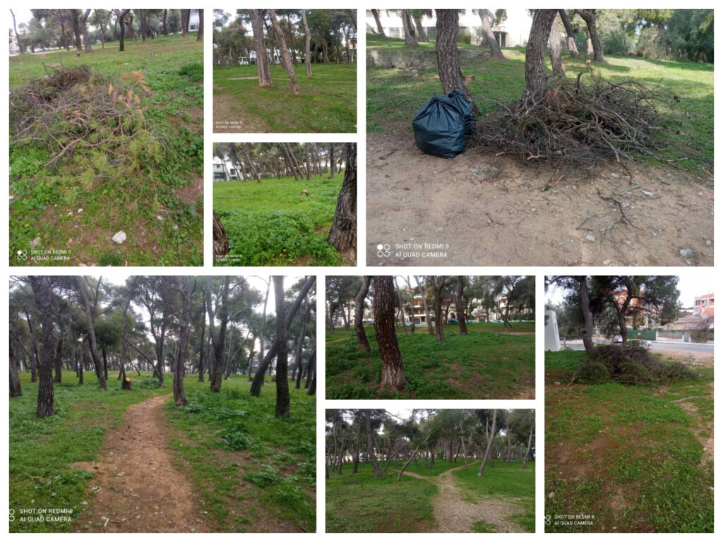 Εντυπωσιακός καθαρισμός του δάσους Αργύρη από τους οδοκαθαριστές του Δήμου Λυκόβρυσης - Πεύκης 4 Εντυπωσιακός καθαρισμός του δάσους Αργύρη από τους οδοκαθαριστές του Δήμου Λυκόβρυσης - Πεύκης
