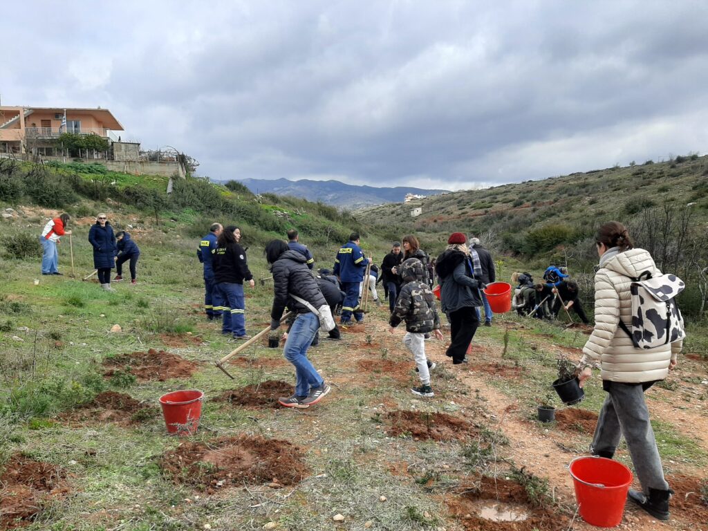 Με μεγάλη επιτυχία ολοκληρώθηκε η 3η Εθελοντική Δενδροφύτευση στον Γέρακα 3 Με μεγάλη επιτυχία ολοκληρώθηκε η 3η Εθελοντική Δενδροφύτευση στον Γέρακα