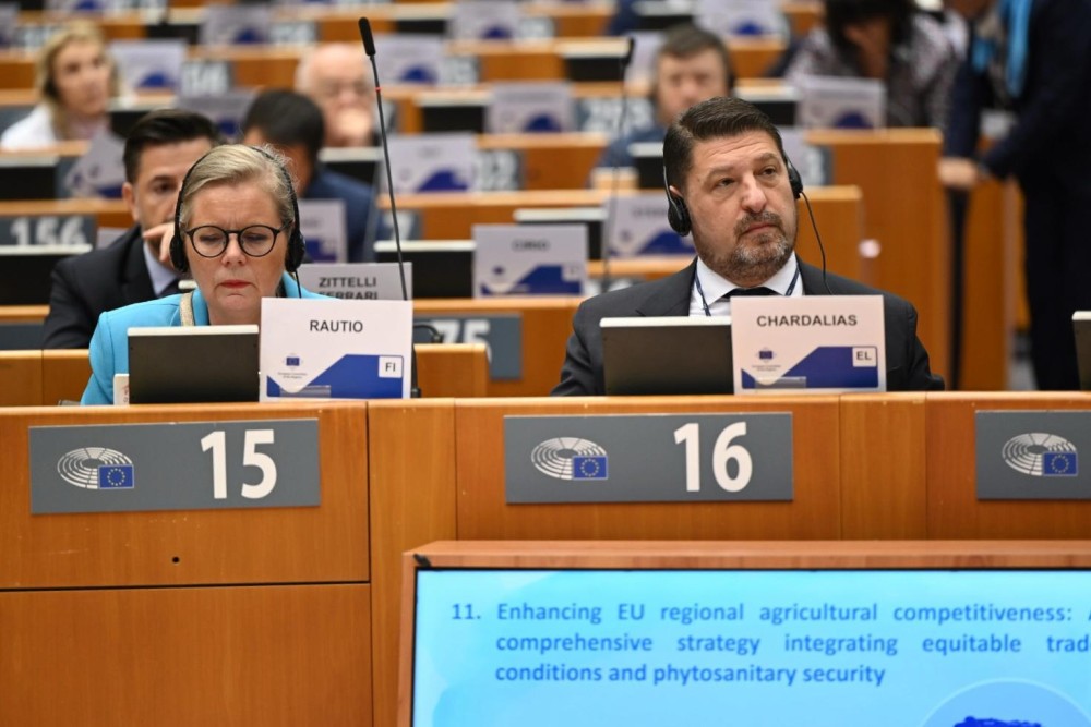 Νίκος Χαρδαλιάς από τις Βρυξέλλες: “Πολιτική Συνοχής σημαίνει ισχυρές περιφέρειες!” 36 IMG-20250403-WA0035-1000x667