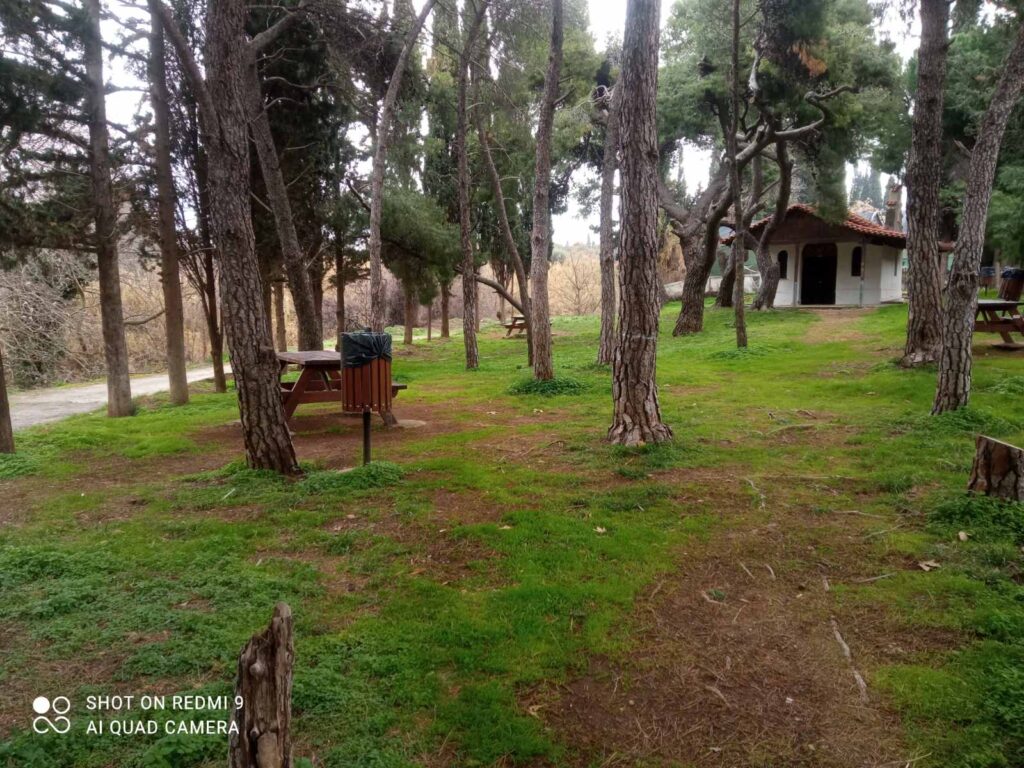 Ο Δήμος Λυκόβρυσης – Πεύκης υποβάλλει πρόταση στο Πράσινο Ταμείο: Ένα νέο “δάσος πόλης” στην Πύρνα με πάνω από 2.000 φυτεύσεις 4 Ο Δήμος Λυκόβρυσης – Πεύκης υποβάλλει πρόταση στο Πράσινο Ταμείο: Ένα νέο “δάσος πόλης” στην Πύρνα με πάνω από 2.000 φυτεύσεις