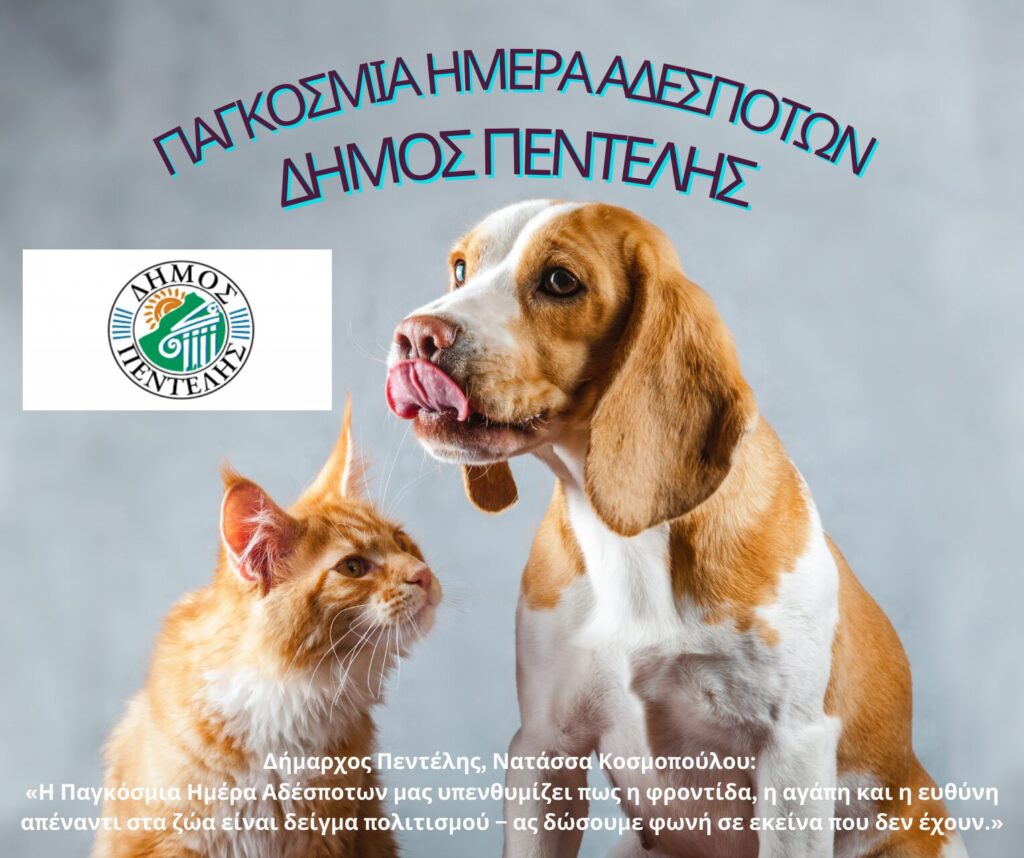 Παγκόσμια μέρα αδέσποτων ζώων