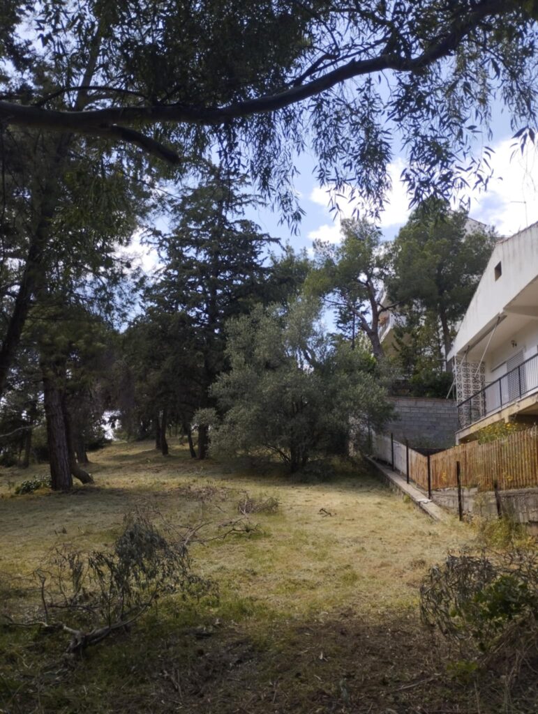 Αυτοψία από τη Δήμαρχο σε σημεία αντιπυρικών ζωνών