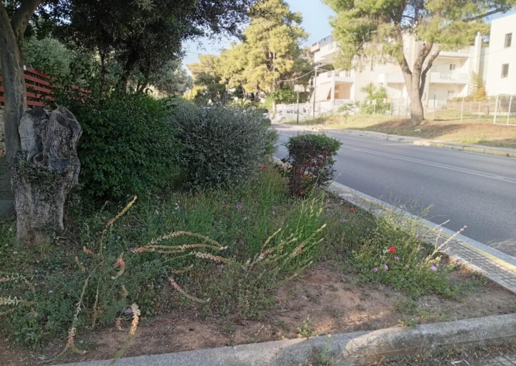 Διατήρηση Λειτουργικών και Ασφαλών Πεζοδρομίων στον Δήμο Κηφισιάς