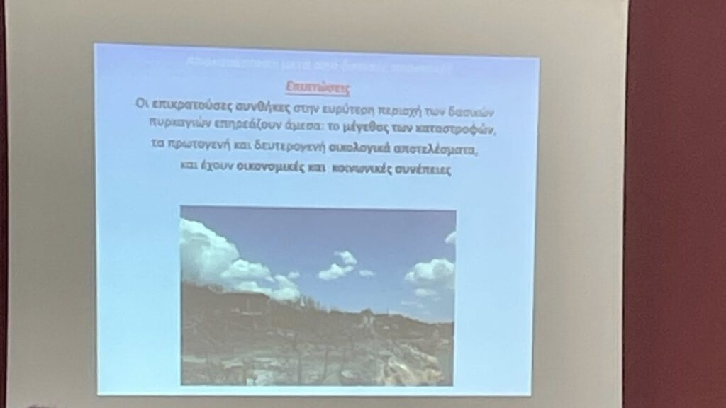 Εκδήλωση στον Διόνυσο με θέμα: «Δενδροφύτευση – Η Επόμενη Μέρα»