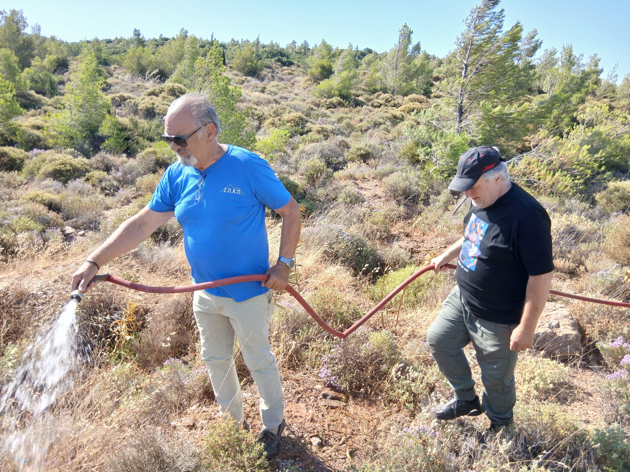 Με επιτυχία ένα ακόμη εθελοντικό πότισμα στον Κοκκιναρά Κηφισιάς 9 Alt