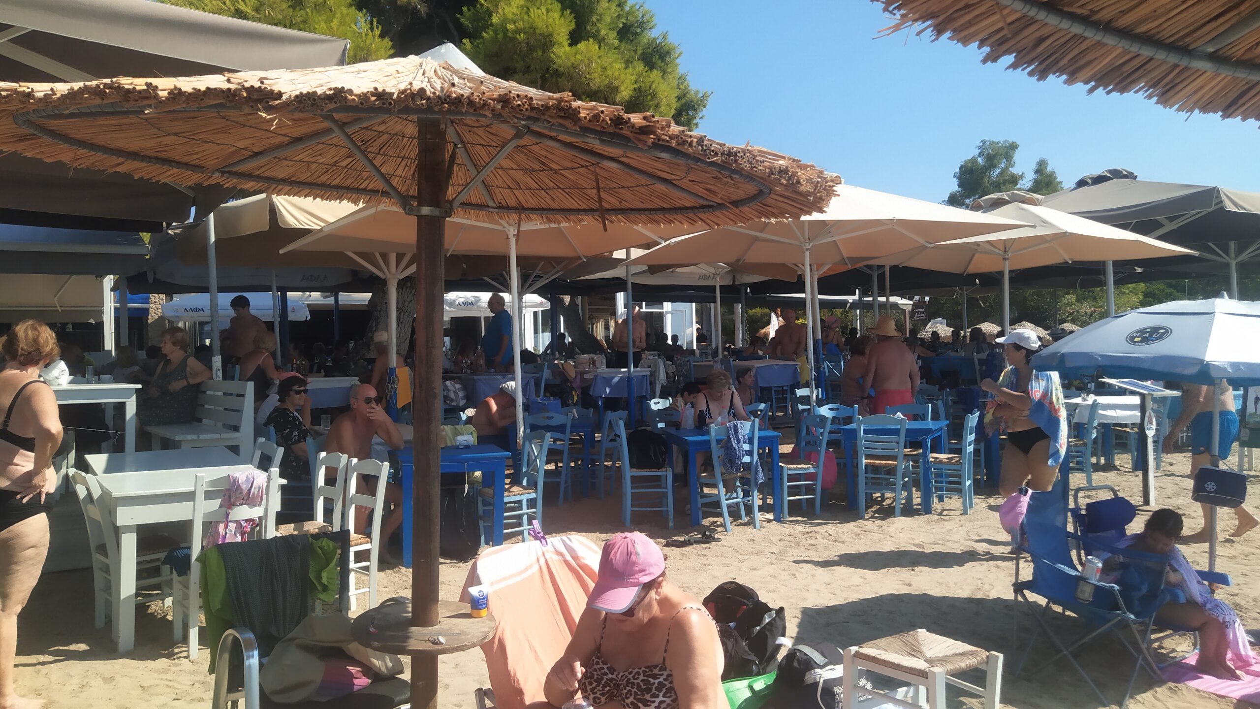Με περισσότερες από 300 συμμετοχές ολοκληρώθηκαν για φέτος τα δωρεάν θαλάσσια μπάνια των ΚΑΠΗ Κηφισιάς 17 Alt