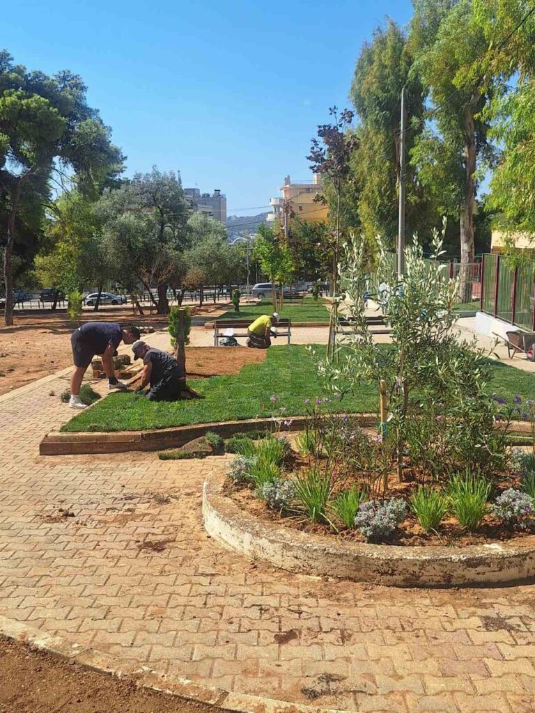 Ολοκλήρωση τοποθέτησης γκαζόν και καθαρισμός πεζοδρόμου στην οδό Καλύμνου, στην Πεύκη 12 Ολοκλήρωση τοποθέτησης γκαζόν και καθαρισμός πεζοδρόμου στην οδό Καλύμνου, στην Πεύκη