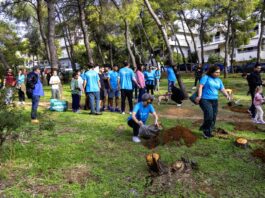 Δενδροφύτευση στη Νέα Λέσβο Αμαρουσίου με μεγάλη συμμετοχή πολιτών Home