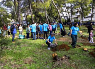 Δενδροφύτευση στη Νέα Λέσβο Αμαρουσίου με μεγάλη συμμετοχή πολιτών