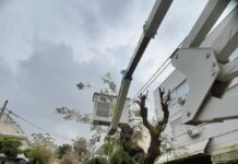 Διακοπή κυκλοφορίας, την Κυριακή 16/11 λόγω κλαδέματος, στην οδό Γρ. Λαμπράκη της Κηφισιάς