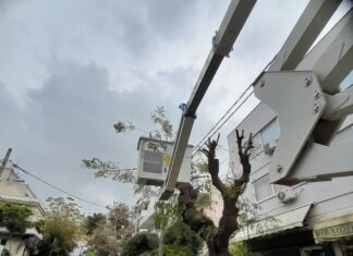 Διακοπή κυκλοφορίας, την Κυριακή 16/11 λόγω κλαδέματος, στην οδό Γρ. Λαμπράκη της Κηφισιάς