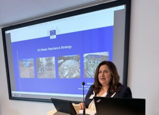 Η Δήμαρχος Διονύσου στις Βρυξέλλες – Επαφές με ευρωπαϊκούς φορείς για ενίσχυση της συνεργασίας