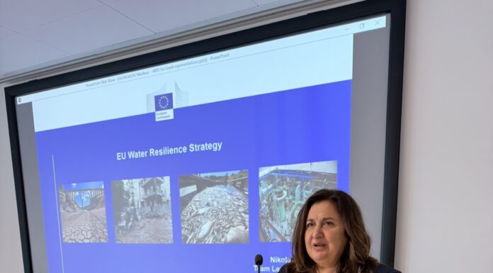 Η Δήμαρχος Διονύσου στις Βρυξέλλες – Επαφές με ευρωπαϊκούς φορείς για ενίσχυση της συνεργασίας Home