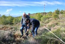 Με απόλυτη επιτυχία ολοκληρώθηκε η 5η Εθελοντική Δενδροφύτευση του ΣΠΑΠ στον Κοκκιναρά Κηφισιάς