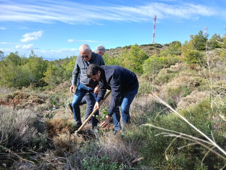 Με απόλυτη επιτυχία ολοκληρώθηκε η 5η Εθελοντική Δενδροφύτευση του ΣΠΑΠ στον Κοκκιναρά Κηφισιάς