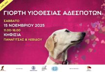 Μεγάλη Γιορτή Υιοθεσίας Αδέσποτων Ζώων, 15/11 στην Κηφισιά