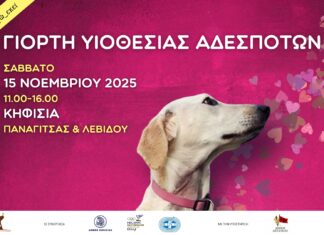 Μεγάλη Γιορτή Υιοθεσίας Αδέσποτων Ζώων, 15/11 στην Κηφισιά