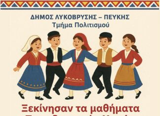 Ξεκίνησαν τα μαθήματα Παραδοσιακών Χορών για Παιδιά στον Δήμο Λυκόβρυσης-Πεύκης! Home