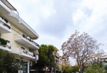 Ξεκίνησε η «Πράσινη Ενοποίηση» έξι σχολείων – Το Άνω Νέο Χαλάνδρι συνδέεται με το Κέντρο της πόλης