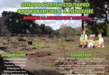Νέα μεγάλη δενδροφύτευση στο Πάρκο Φραγκοκκλησιάς | Κυριακή 14 Δεκεμβρίου 2025 | 10:00