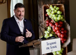 Νίκος Χαρδαλιάς: «Ο αττικός αμπελώνας είναι κρίκος της ταυτότητάς μας – επενδύουμε στο έργο των οινοπαραγωγών μας με σχέδιο, συνέπεια και αποτέλεσμα»