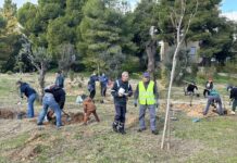 Περιβαλλοντική αναβάθμιση στο χώρο πρασίνου της οδού Φραγκοκκλησιάς στο Πολύδροσο με τη φύτευση 115 νέων δέντρων και θάμνων