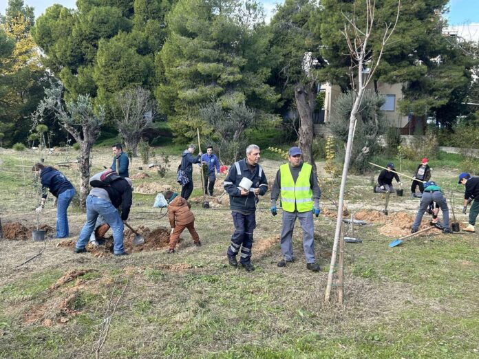 Περιβαλλοντική αναβάθμιση στο χώρο πρασίνου της οδού Φραγκοκκλησιάς στο Πολύδροσο με τη φύτευση 115 νέων δέντρων και θάμνων_6940995b055c0.jpeg