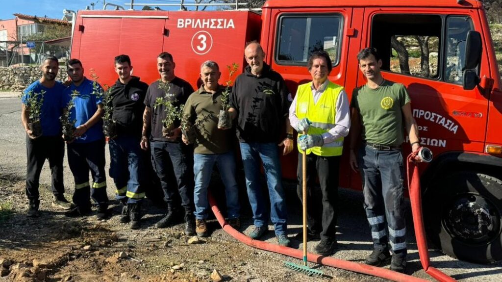 125 νέες βελανιδιές φυτεύτηκαν στις παρυφές της οδού Αγίου Σεβαστιανού στα Άνω Βριλήσσια 9 125 νέες βελανιδιές φυτεύτηκαν στις παρυφές της οδού Αγίου Σεβαστιανού στα Άνω Βριλήσσια