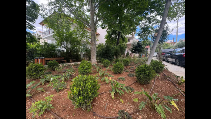 Η νέα όψη της Πλατείας Αναλήψεως: 1.000 νέες φυτεύσεις στην «καρδιά» των Βριλησσίων_69661f8ec01bf.png