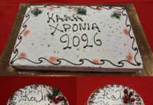 Κοπή βασιλόπιτας της Διεύθυνσης Κοινωνικής Μέριμνας του Δήμου Χαλανδρίου