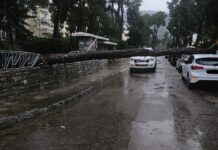 Συντονισμένη κινητοποίηση των Υπηρεσιών του Δήμου & εθελοντών για τη διαχείριση των επιπτώσεων της κακοκαιρίας