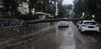 Συντονισμένη κινητοποίηση των Υπηρεσιών του Δήμου & εθελοντών για τη διαχείριση των επιπτώσεων της κακοκαιρίας Home