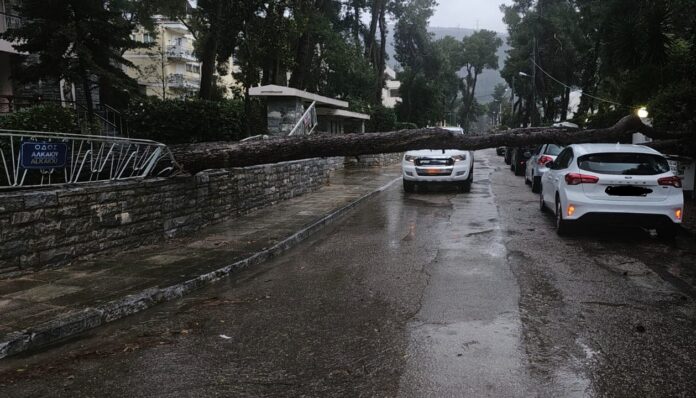 Συντονισμένη κινητοποίηση των Υπηρεσιών του Δήμου & εθελοντών για τη διαχείριση των επιπτώσεων της κακοκαιρίας_697251af2e3f6.jpeg