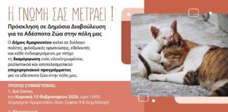 Παρουσίαση και Δημόσια Διαβούλευση για το νέο Επιχειρησιακό Πρόγραμμα Διαχείρισης Αδέσποτων Ζώων Συντροφιάς από τον Δήμο Αμαρουσίου Home