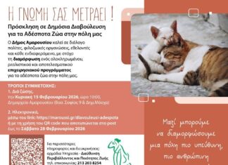 Παρουσίαση και Δημόσια Διαβούλευση για το νέο Επιχειρησιακό Πρόγραμμα Διαχείρισης Αδέσποτων Ζώων Συντροφιάς από τον Δήμο Αμαρουσίου Home