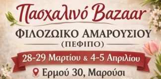 ΣΗΜΕΡΑ ΣΑΒΒΑΤΟ 28/03/2026, 11-15:00-ΕΡΜΟΥ 30,ΜΑΡΟΥΣΙ!!!ΠΑΣΧΑΛΙΝΟ ΜΠΑΖΑΡ ΠΕΦΙΠΟ-ΦΙΛΟΖΩΙΚΗ ΑΜΑΡΟΥΣΙΟΥ Home