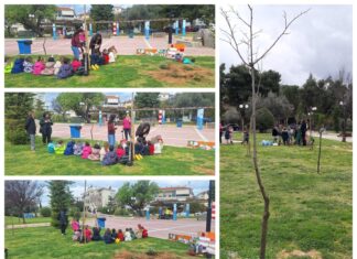 Φύτευση θάμνων στην πλατεία Ελευθερίας με τη συμμετοχή μαθητών Home